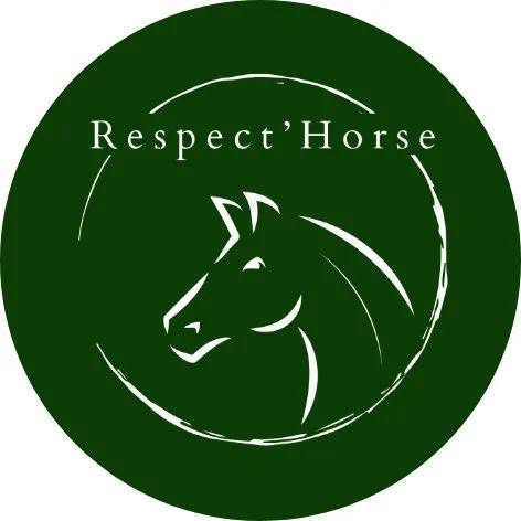 Respect Horse